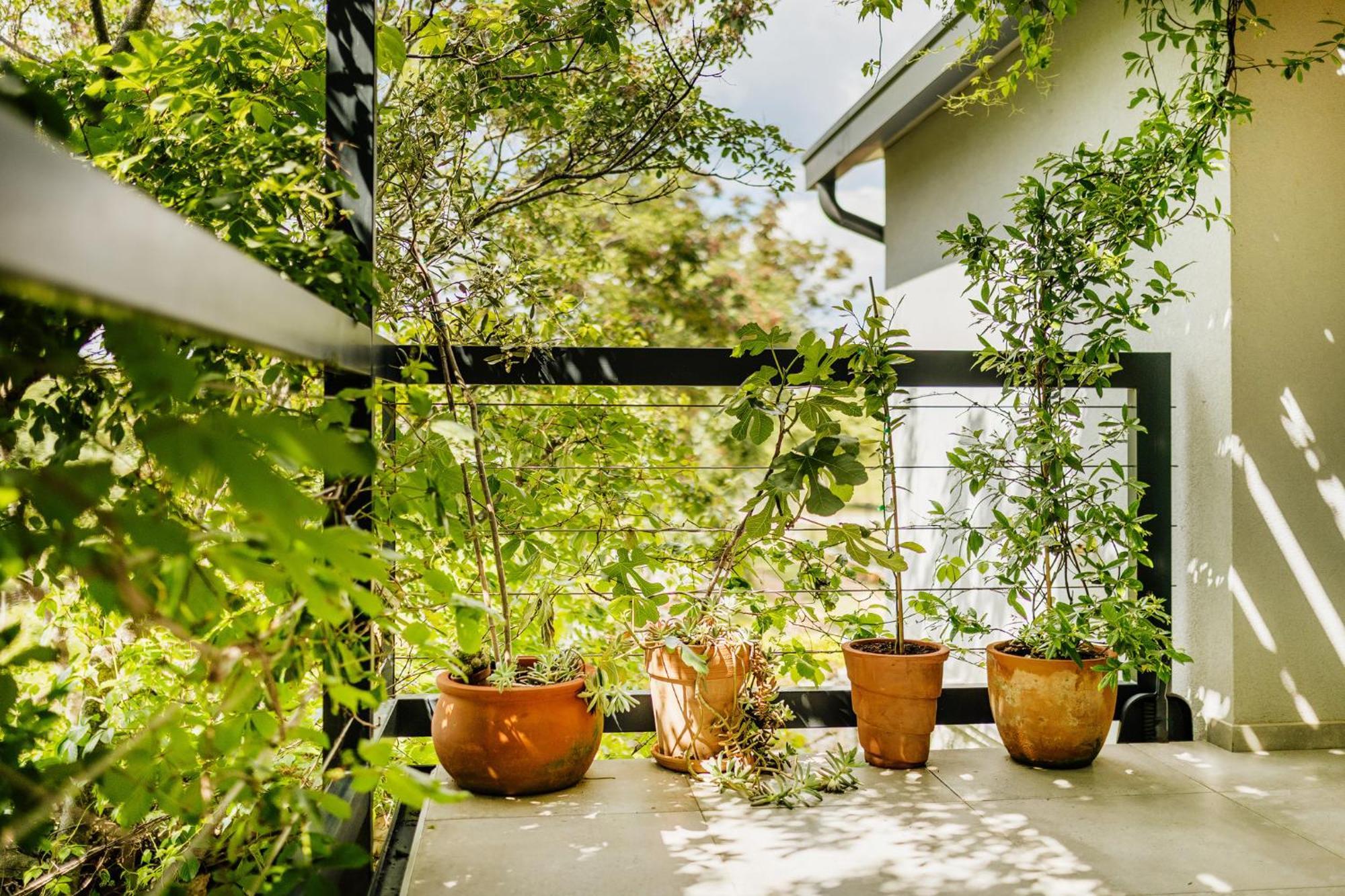 Peroj'S Green Oasis - Holiday Home Exterior foto